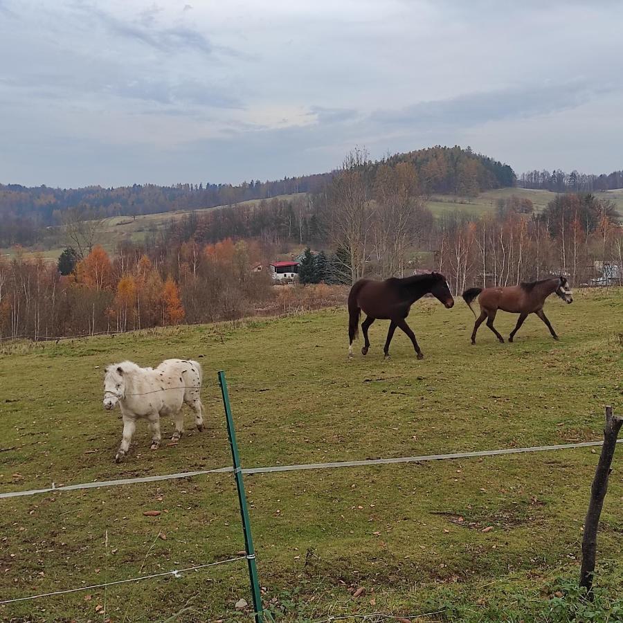 Śnieżna Chatka - Sosnówka Karpacz Zewnętrze zdjęcie